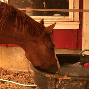 Meet your Posher, Kaitlynn